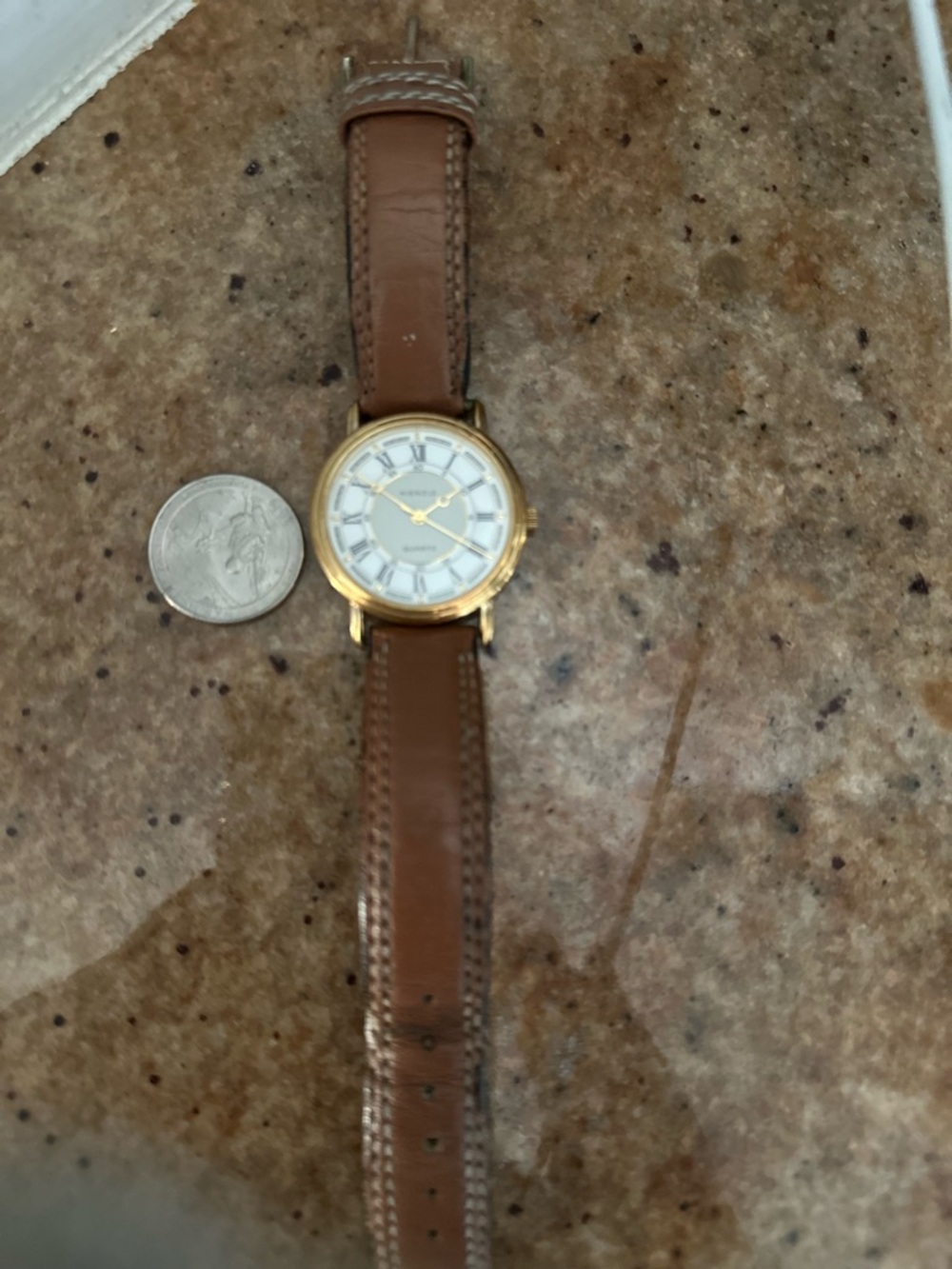Classic Gold-Tone Round Watch with Brown Leather Strap